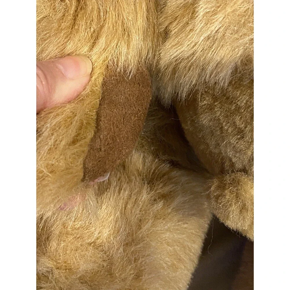 Teddy Bear 18